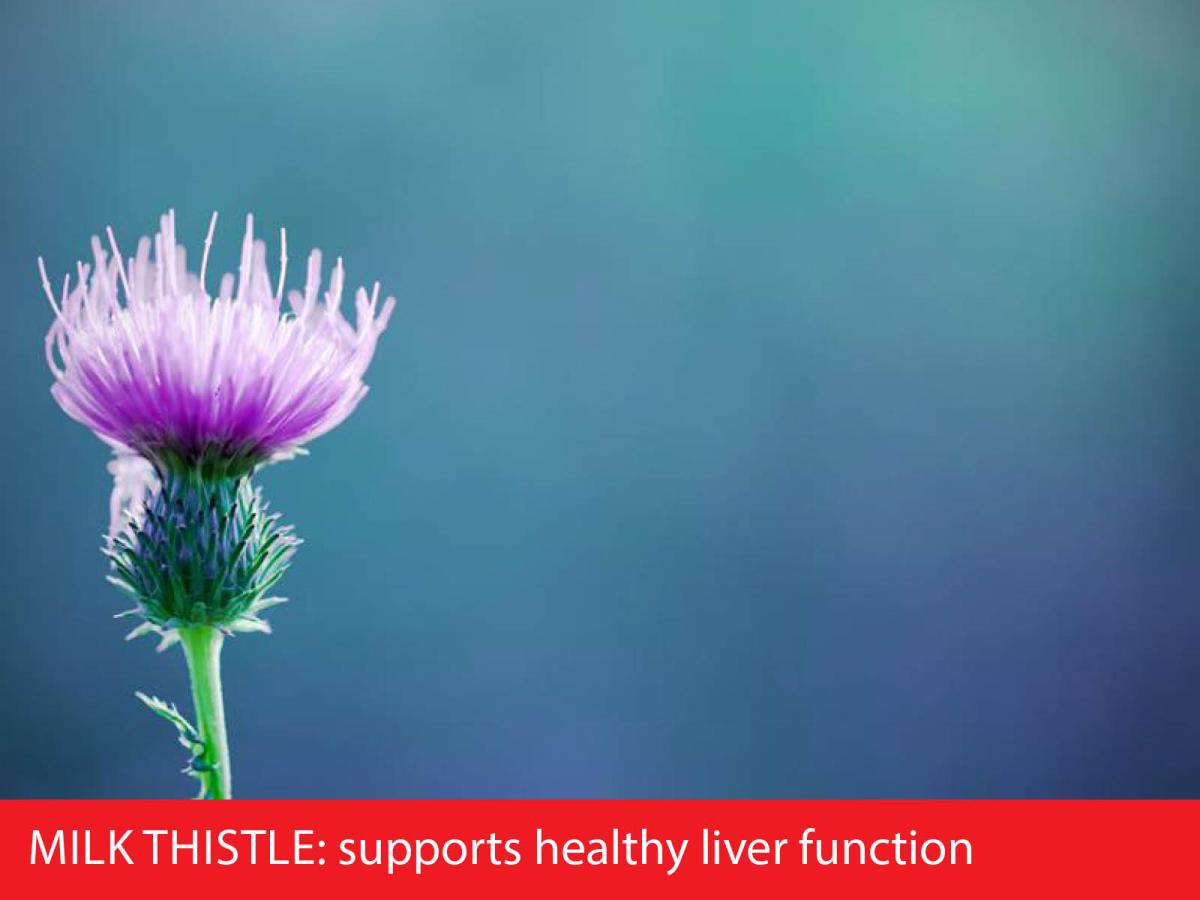 liver health